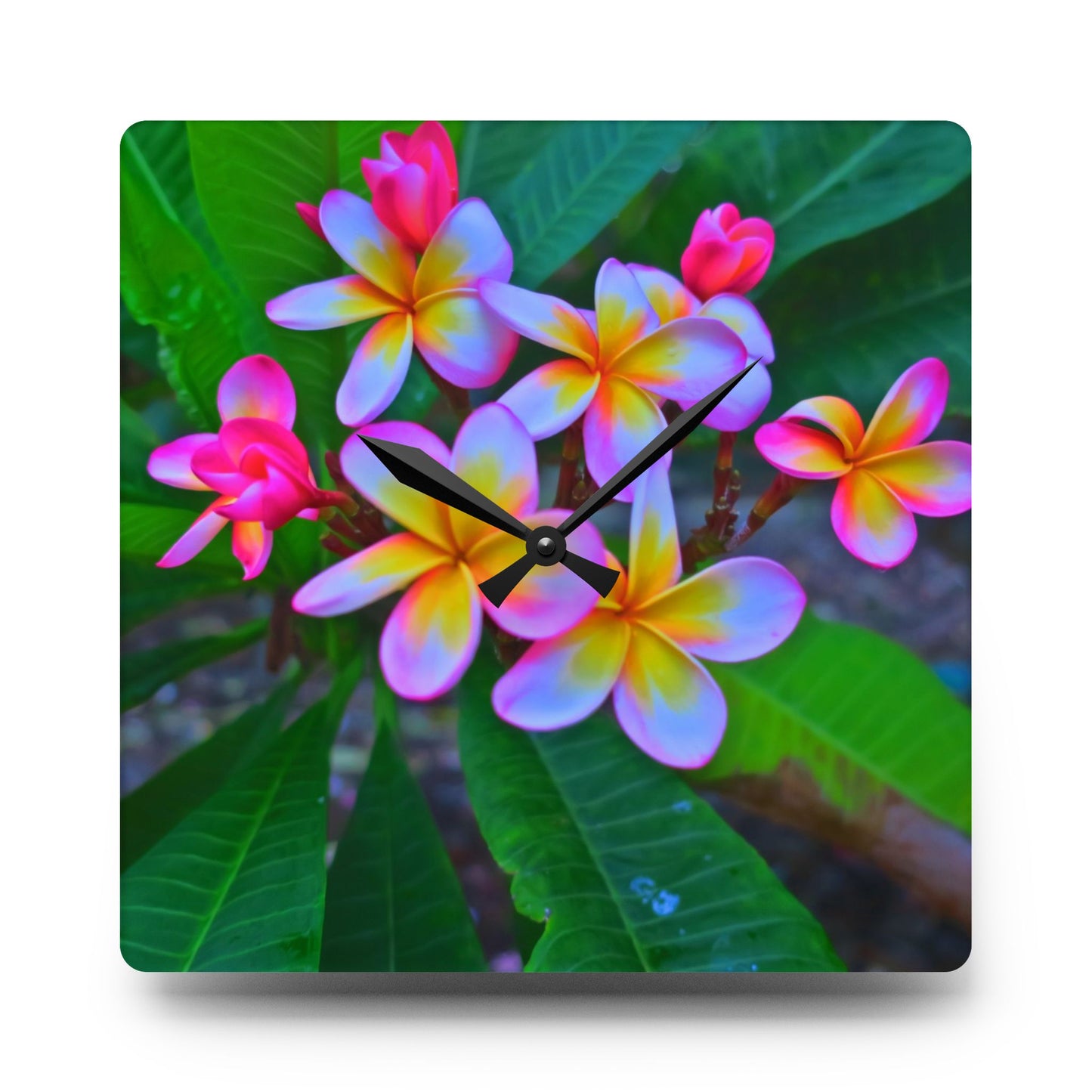 Acrylic Wall Clock, Hawaiian Flowers