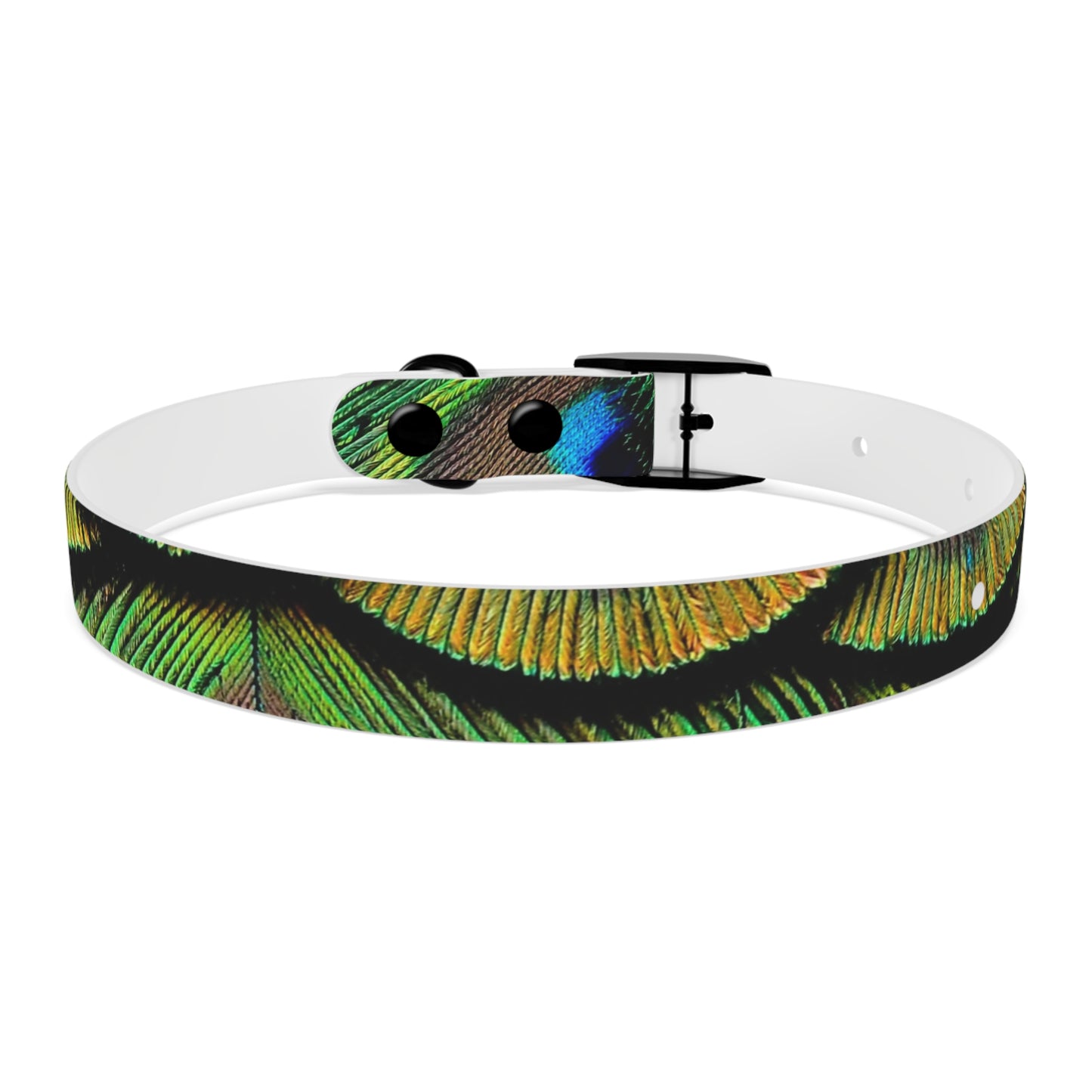 Dog Collar - Brilliant Green Peacock Feathers