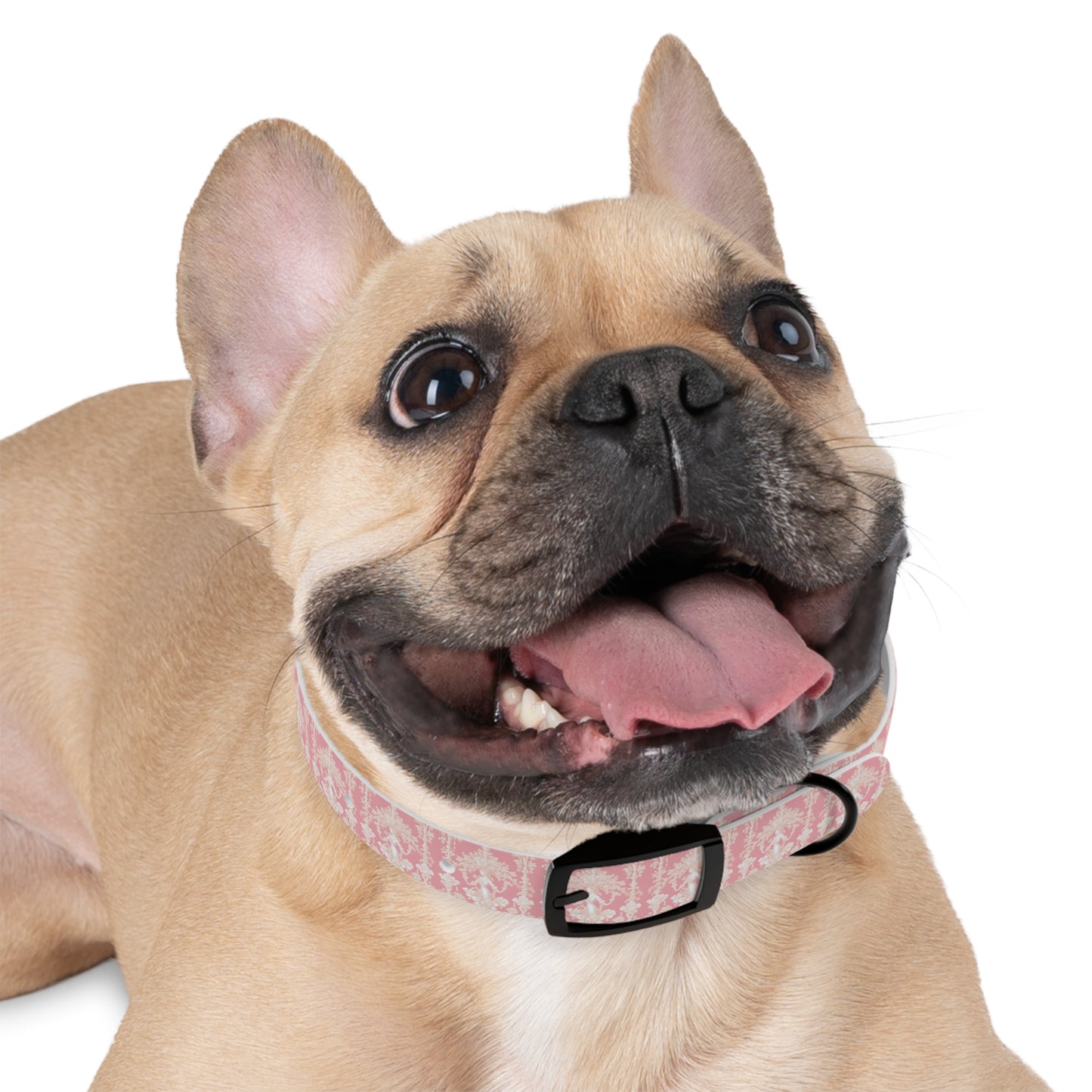 Dog Collar - Pearl Lady Toile, hibiscus pink