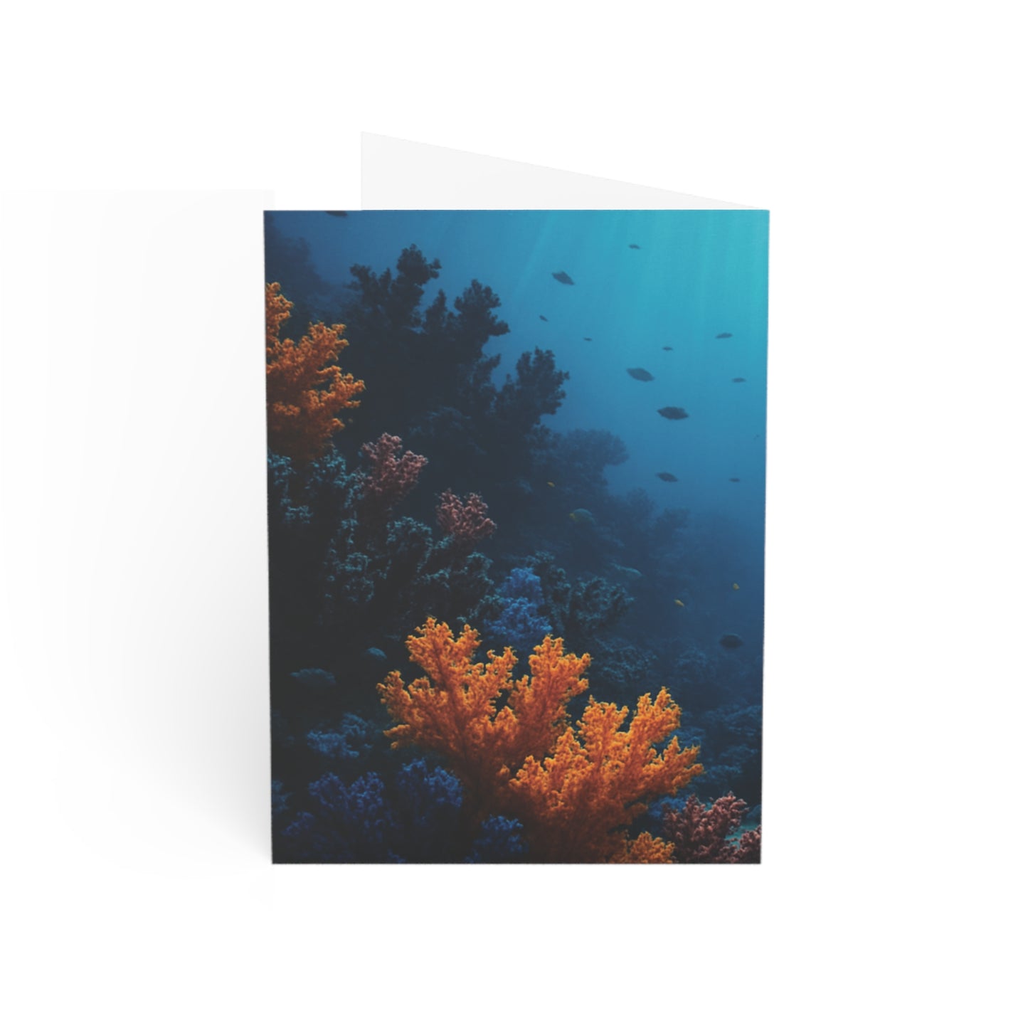 Tropical Greeting Cards – Set of 1, 10, 30 or 50 – Black & Orange Coral